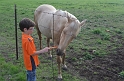 Kids_Bluebonnets2013 (121)